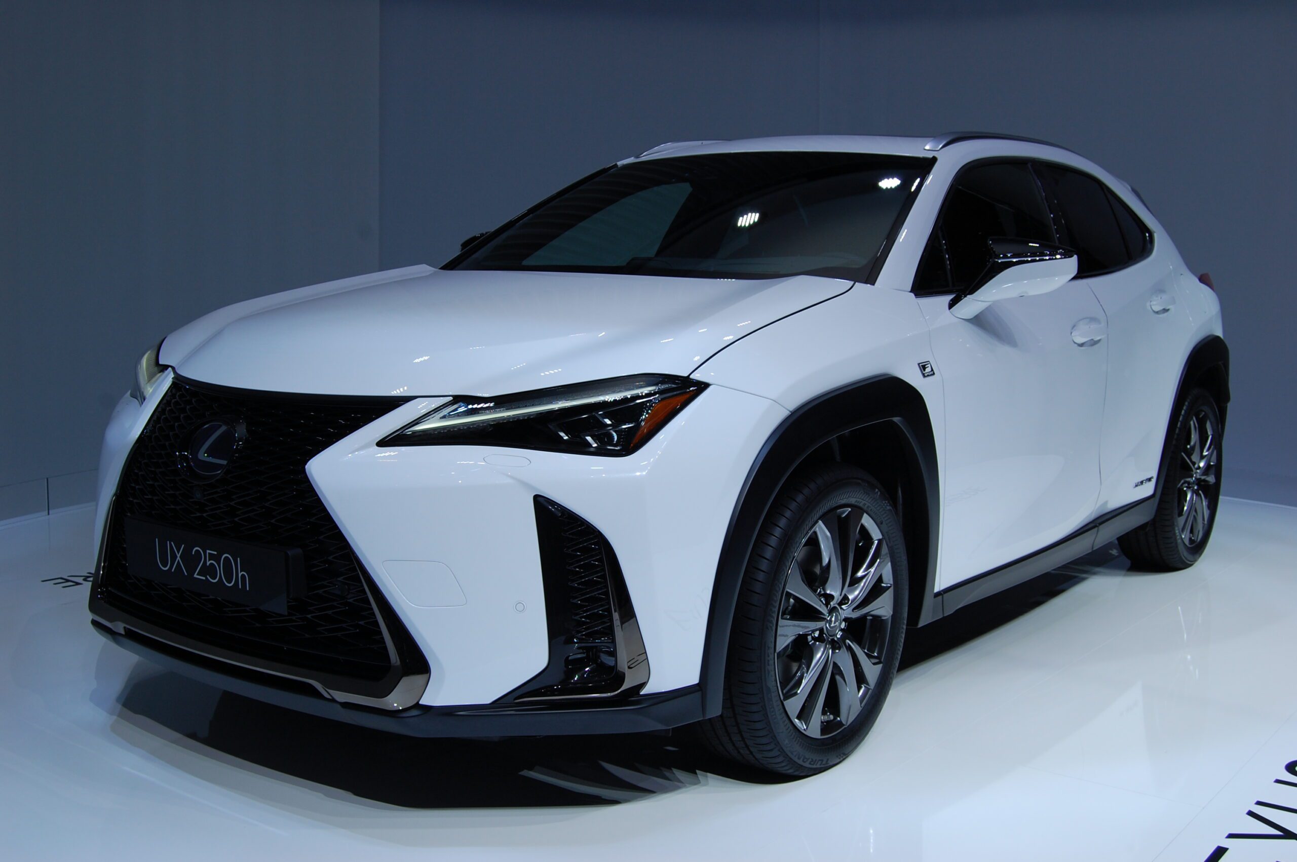 LEXUS NUMBER PLATES img
